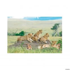 African Safari VBS Lion Backdrop - 3 Pc.