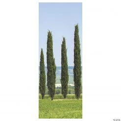 Ancient Greek Garden Cypress Scene Setter Background - 2 Pc.