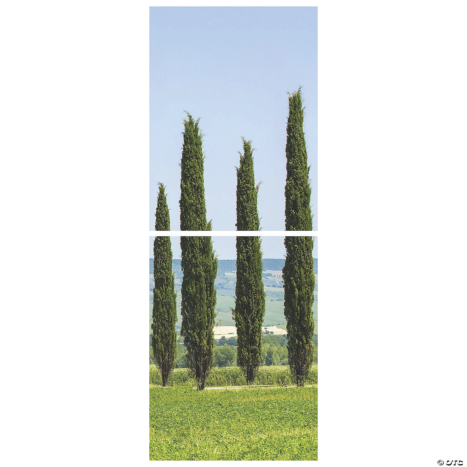 Ancient Greek Garden Cypress Scene Setter Background - 2 Pc. 4 Ancient Greek Garden Cypress Scene Setter Background - 2 Pc. - Image 2