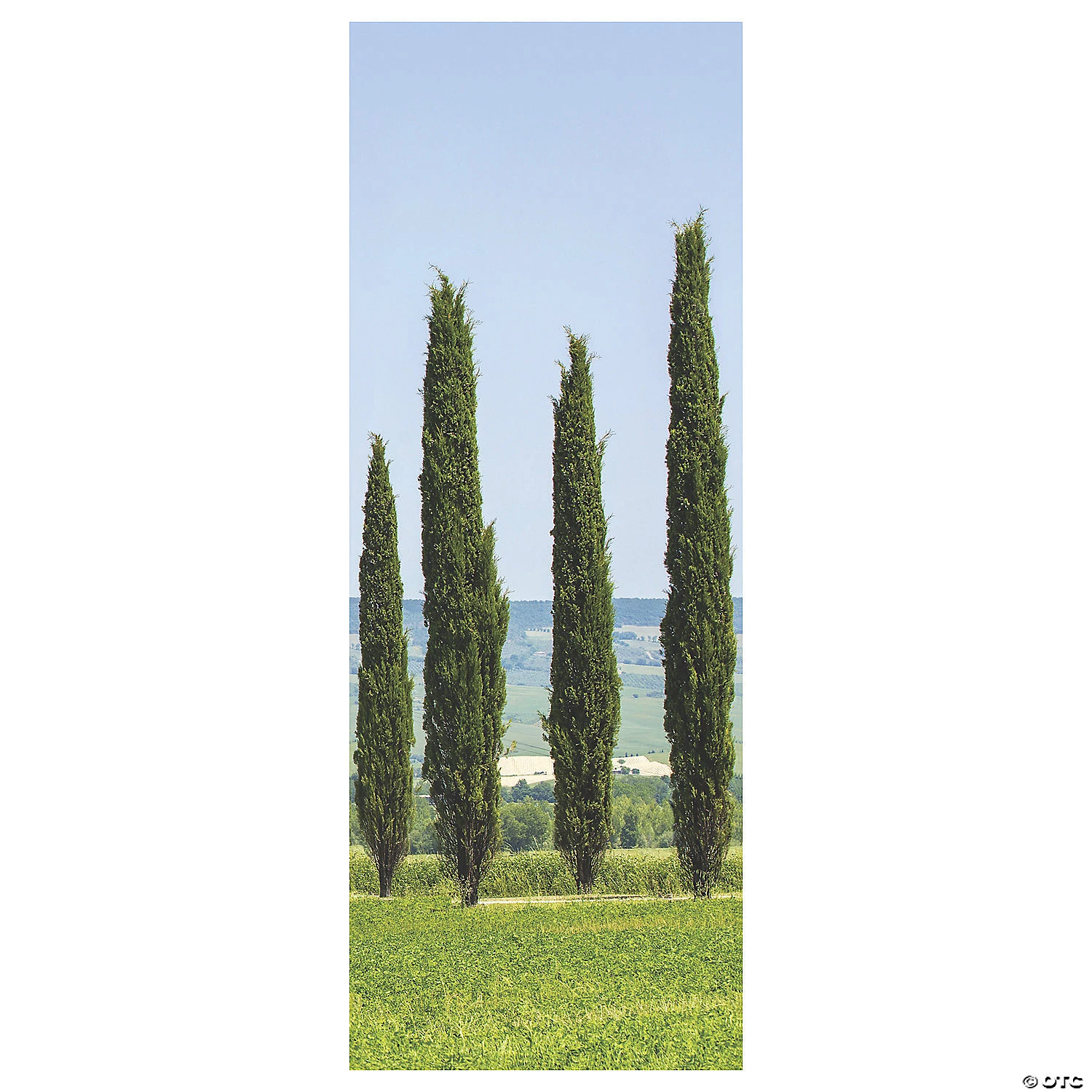 Ancient Greek Garden Cypress Scene Setter Background - 2 Pc. 3 Ancient Greek Garden Cypress Scene Setter Background - 2 Pc.