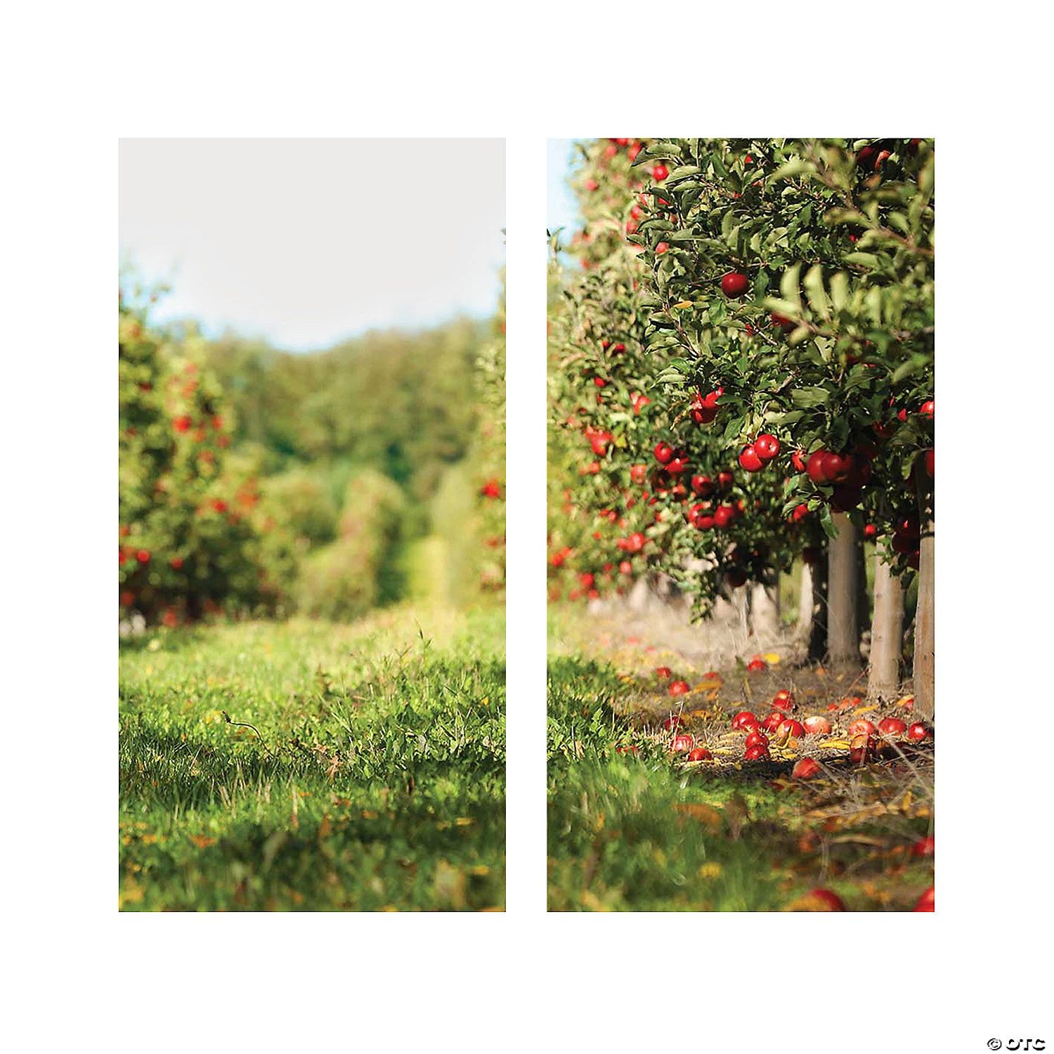 Apple Orchard Backdrop - 2 Pc. 4 Apple Orchard Backdrop - 2 Pc. - Image 2