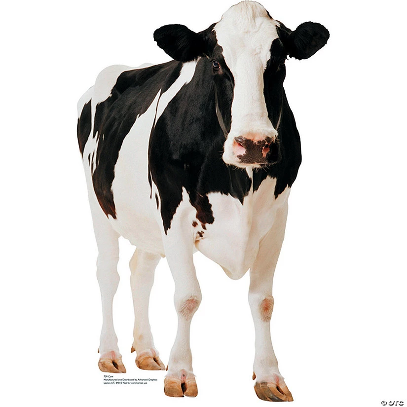 Cow Life-Size Cardboard Stand-Up 3 Cow Life-Size Cardboard Stand-Up