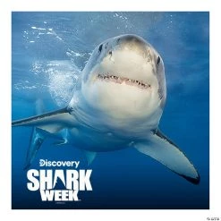 Discovery Shark Week™ Backdrop