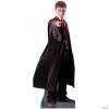 Harry Potter Cardboard Stand-Up