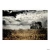 Haunted Farmhouse Backdrop - 3 Pc. -DIY Photo Booth Sales Shop haunted farmhouse backdrop 3 pc 13703545