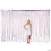 Large Iridescent Fringe Backdrop Curtain