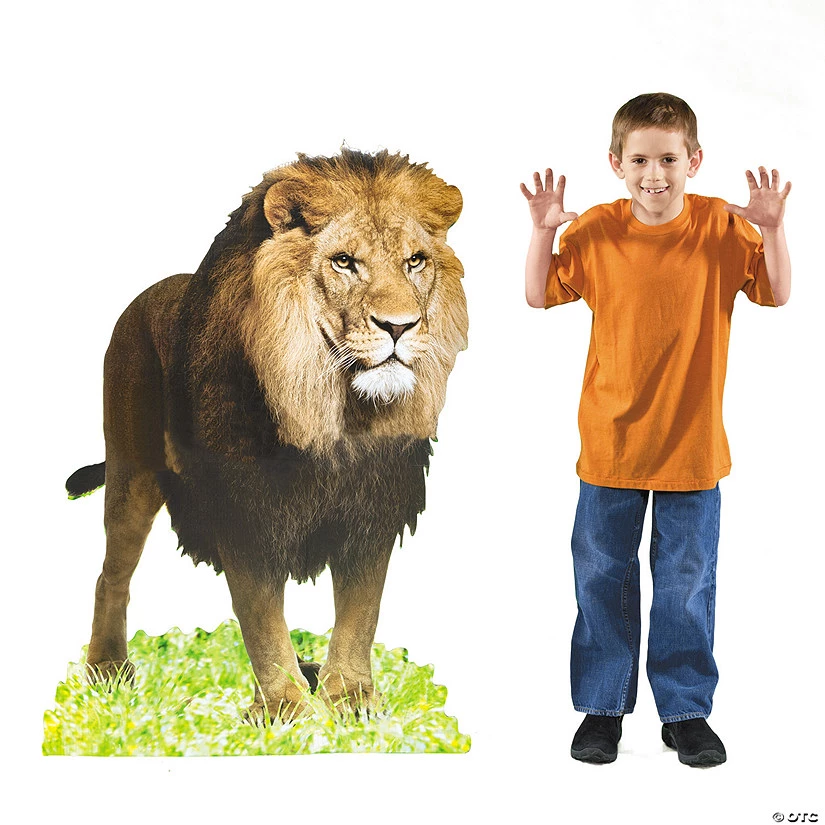Lion Cardboard Stand-Up 3 Lion Cardboard Stand-Up