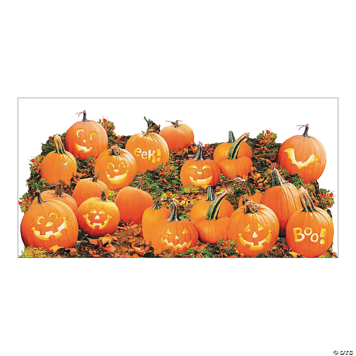 Pumpkin Patch Backdrop - 2 Pc. 3 Pumpkin Patch Backdrop - 2 Pc.