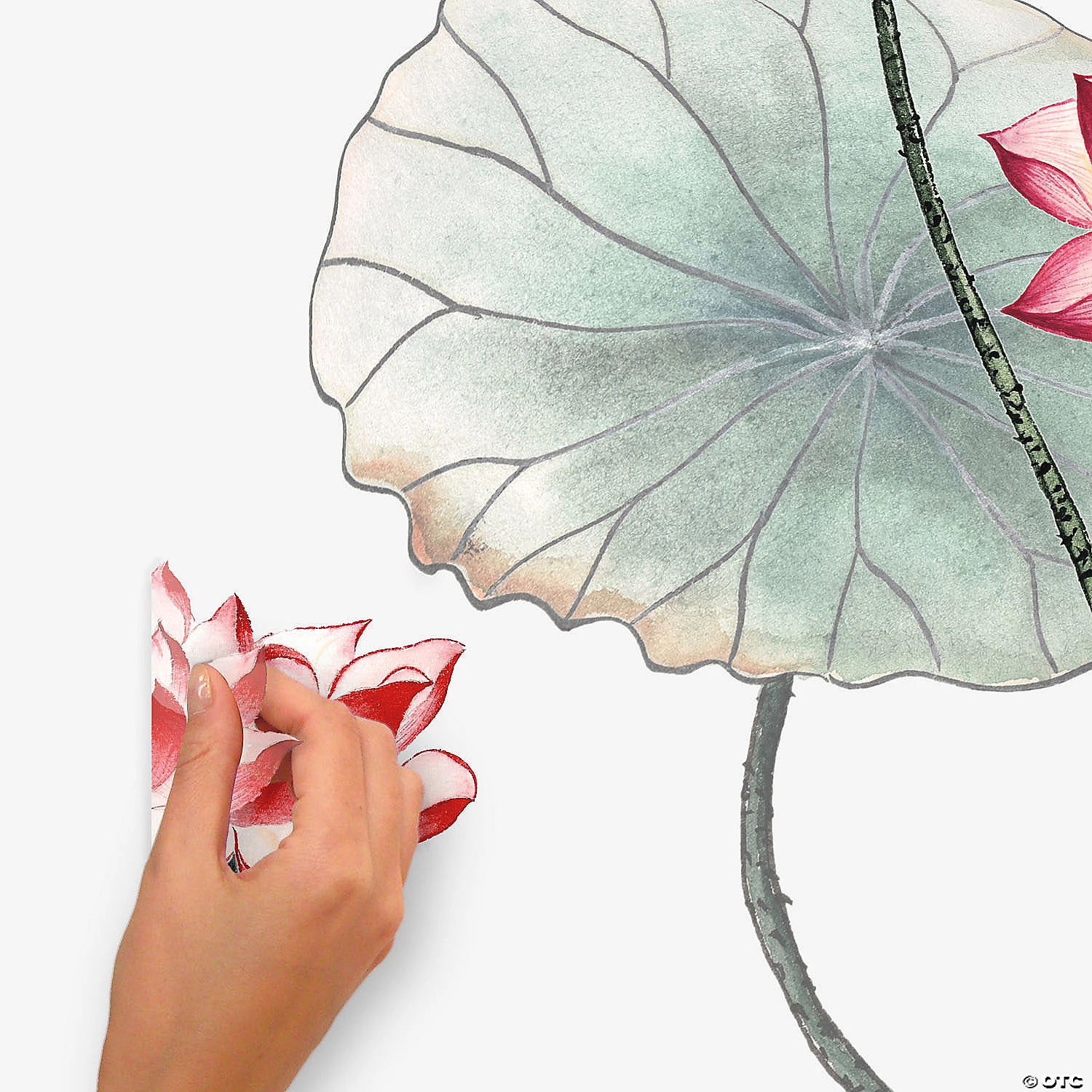 RoomMates Lotus Garden XL Peel And Stick Giant Wall Decal 6 RoomMates Lotus Garden XL Peel And Stick Giant Wall Decal - Image 4